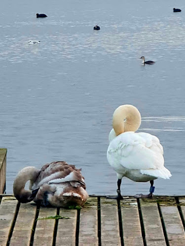 Damhusdæmningen 2B, 2720 Vanløse