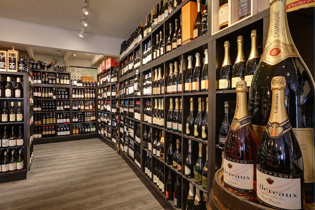 Comentarii opinii despre Falkensten Vin