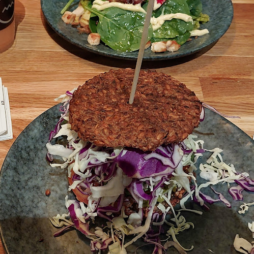 Comentarii opinii despre Palæo