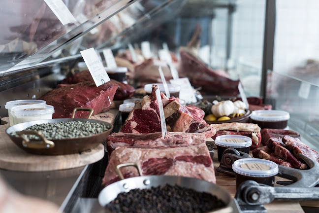 Comentarii opinii despre Fleisch