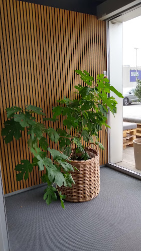 Bispetorv 36, 9800 Hjørring