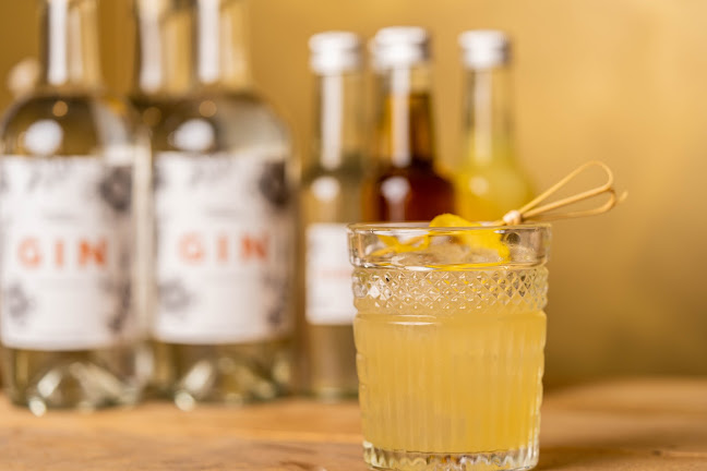 Comentarii opinii despre spiritusklubben