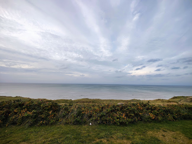 Opinii despre Kaffestuen în Hirtshals - Gastronomi og hotelvirksomhed