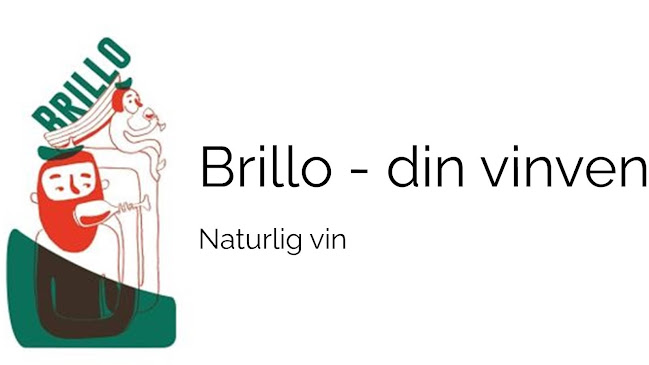 Comentarii opinii despre Brillo