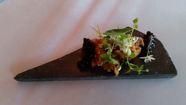 Restaurant Koldingfjord - Gastronomi og hotelvirksomhed