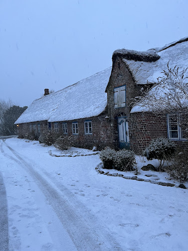 Comentarii opinii despre Restaurant Æ Kalgo