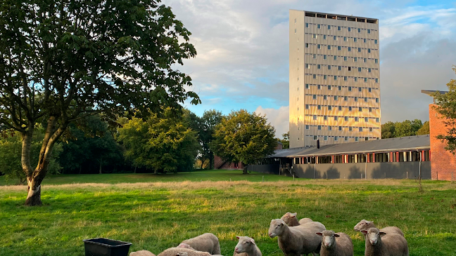 Comentarii opinii despre Højhuset Kulturhotel