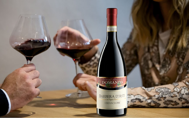 Stilo Vine ApS - Helsingør