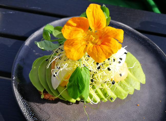 Karma Café & To Go - Gastronomi og hotelvirksomhed