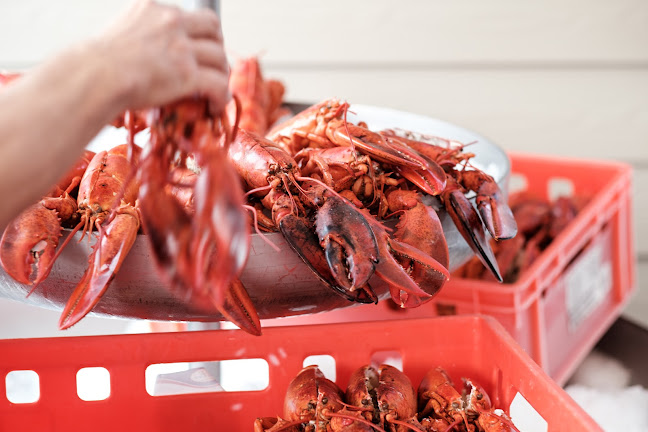 Restaurant Arken - Køge