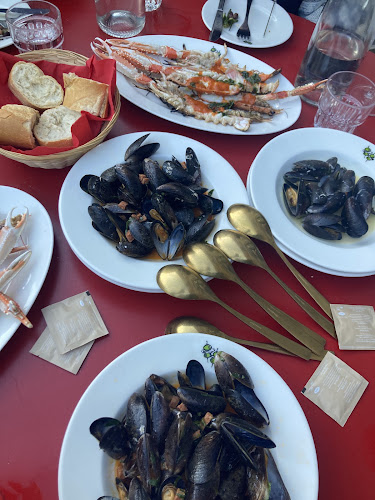 Comentarii opinii despre Contento