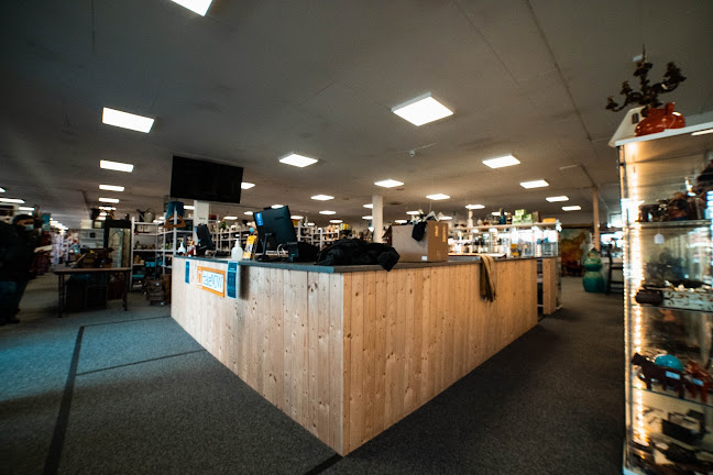 Comentarii opinii despre takeNOW Egå