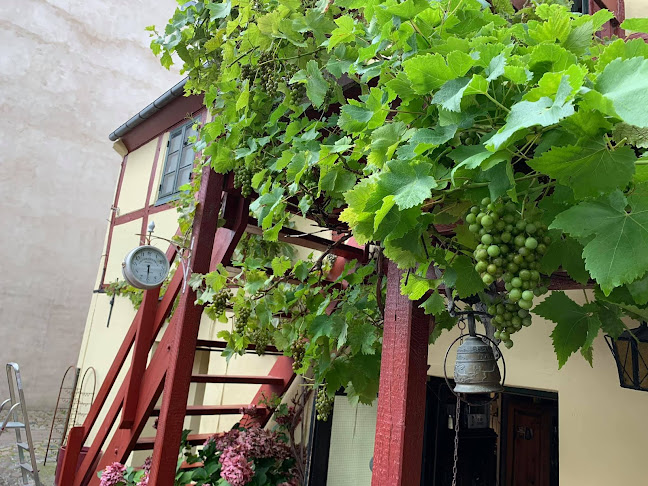 Comentarii opinii despre La Dolce Vita