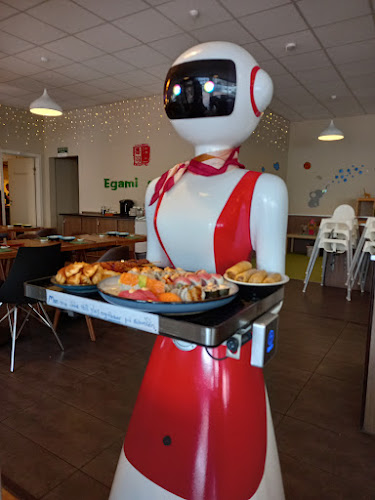 Comentarii opinii despre Egami Sushi ad libitum