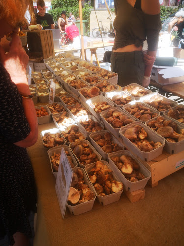 Grønt Marked - Nørrebro - Gastronomi og hotelvirksomhed