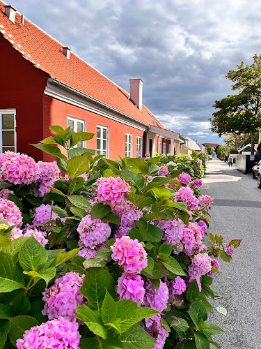 Nana's Is- og Kaffebar Østerby - Gastronomi og hotelvirksomhed