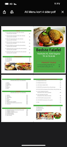 Bedste falafel - Gastronomi og hotelvirksomhed