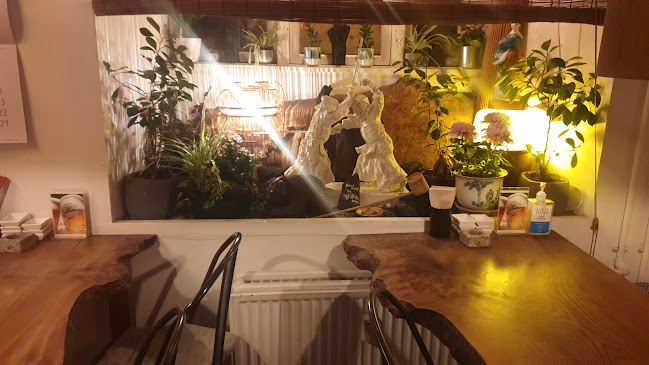 Comentarii opinii despre Bento