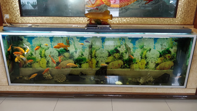 Den Kinesiske Mur - København