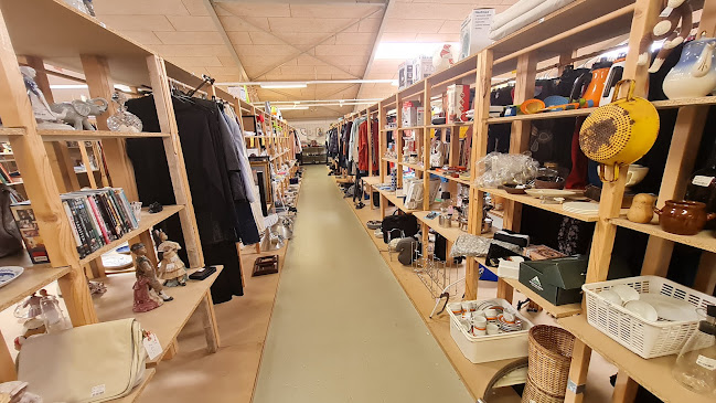 Guld & Rod Ribe - Gastronomi og hotelvirksomhed