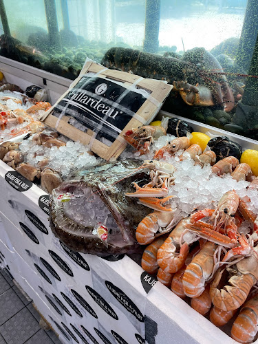 Kajens fisk & vildt - Hørsholm