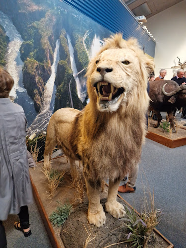 Opinii despre Nygaards Afrika - Jagtmuseum - Dyrehave - Musik & Dansested - Restaurant - Gårdbutik - Overnatning în Nørre Nebel - Gastronomi og hotelvirksomhed