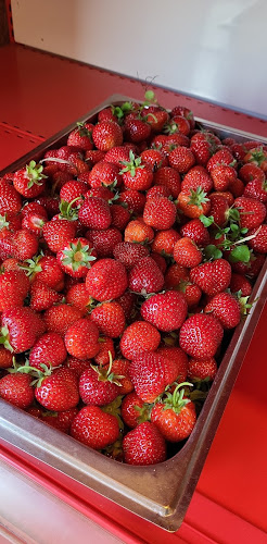 Lifstrup Hovedvej 61, 6715 Esbjerg Kommune