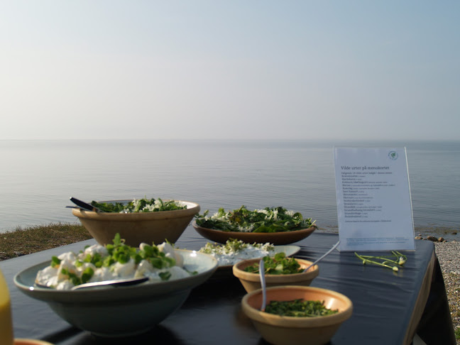 Comentarii opinii despre Det Vilde Køkken