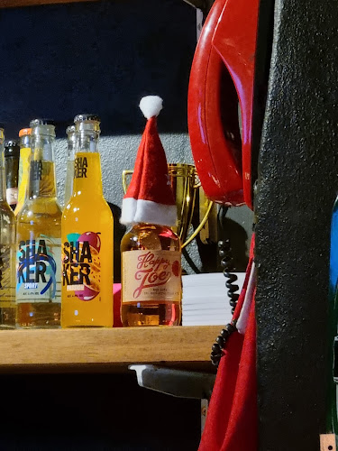 Comentarii opinii despre Bodegaen