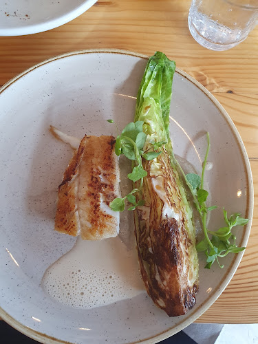 Opinii despre Gorilla în Vesterbro - Gastronomi og hotelvirksomhed