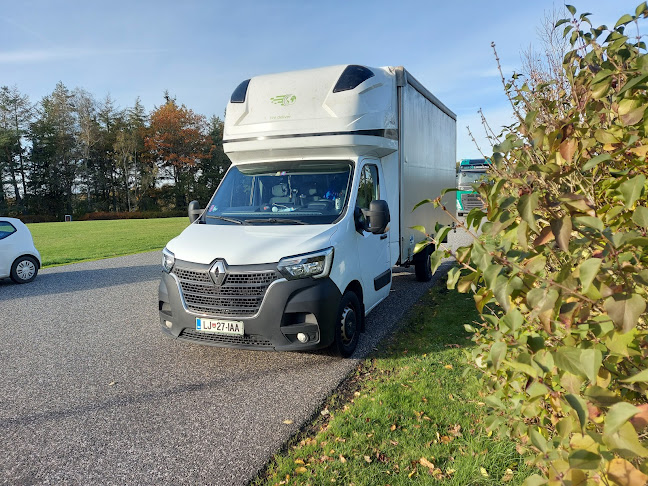 Comentarii opinii despre Vreetschuur