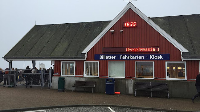 Opinii despre PIZZA COSA MIA în Esbjerg - Gastronomi og hotelvirksomhed