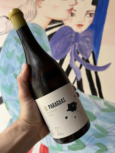 Comentarii opinii despre Vespa Vin