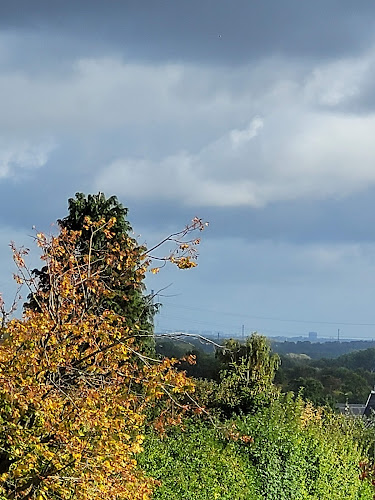 Café Lisa - Gastronomi og hotelvirksomhed