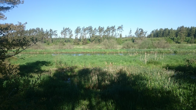 Teglgårdsparkens Nærkøb v/Nina Thomsen - Gastronomi og hotelvirksomhed