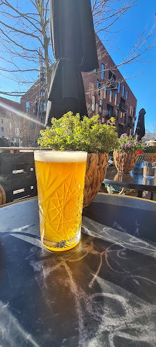 Comentarii opinii despre Krøyers