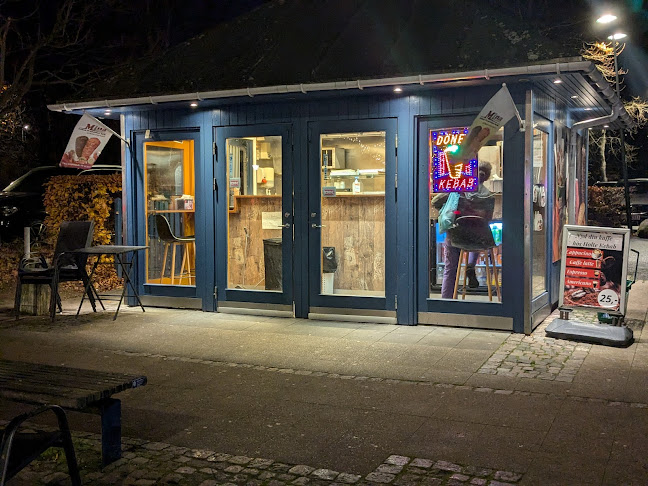 Comentarii opinii despre Holte Kebab