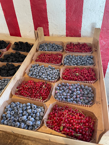 Jordbær - Gastronomi og hotelvirksomhed