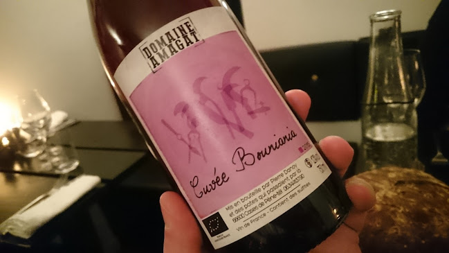 Comentarii opinii despre Restaurant Rebel