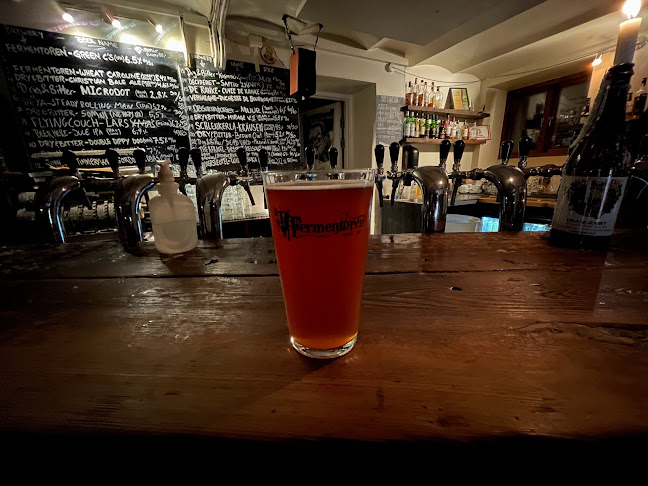 Comentarii opinii despre Fermentoren