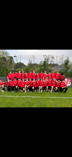 Comentarii opinii despre Korup Pizza