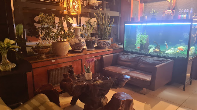 King Running Sushi & Wok