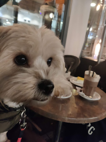 Café Strædéet - Næstved