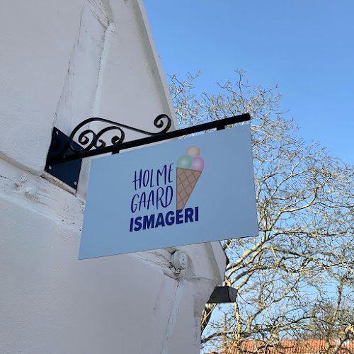 Comentarii opinii despre Holmegaard ismageri