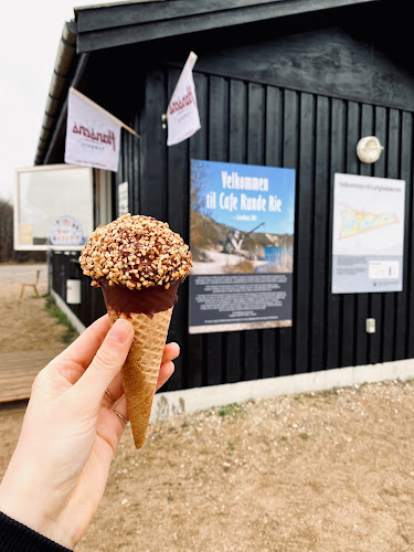 Opinii despre Café Runde Rie în Roskilde - Gastronomi og hotelvirksomhed