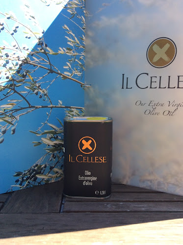 Comentarii opinii despre Søndersø Vin & Gourmet