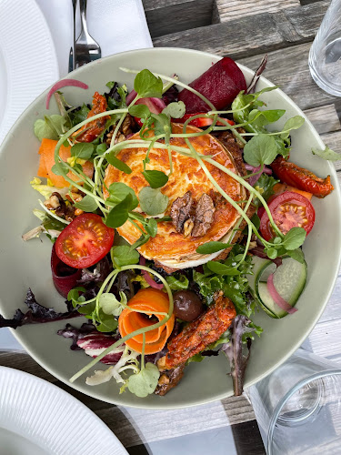 Comentarii opinii despre Krøyers