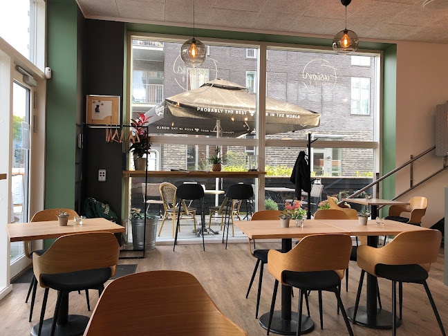 Comentarii opinii despre Fusion