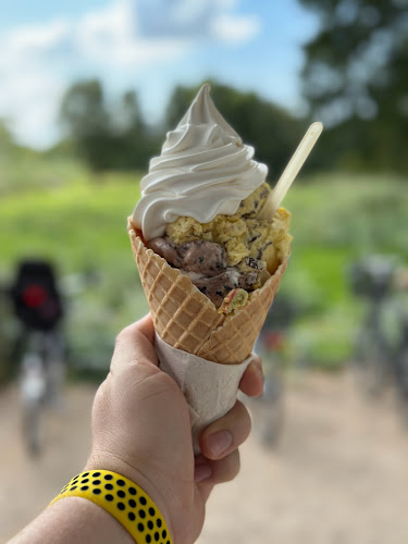 Comentarii opinii despre Damhuskanten