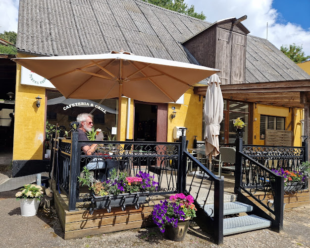 Kina Cafeteria & Grill - Frederiksværk